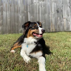 Meet your Posher, Keri